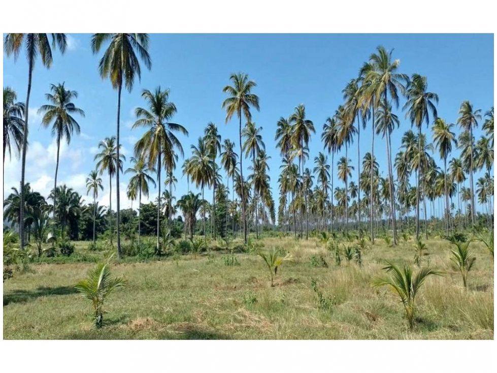 Lote en venta Magdalena Santa Marta Santa Marta 10000 m2 Habitaciones 0 Baños 0 Garajes 0 Precio $990000000