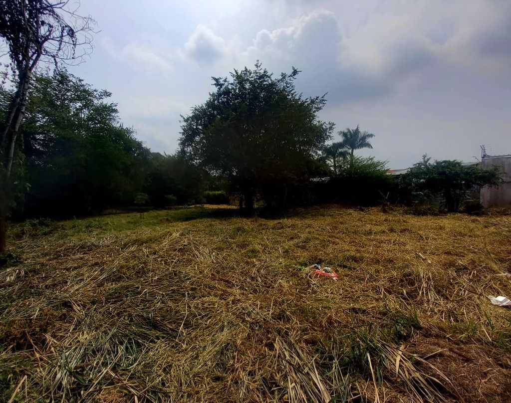 Lote en venta Valle Del Cauca Cali San Nicolás 0 m2 Habitaciones 0 Baños 0 Garajes 0 Precio $1600000000