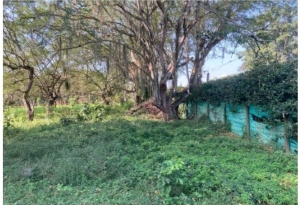 Lote en venta Valle Del Cauca Cali San Nicolás 0 m2 Habitaciones 0 Baños 0 Garajes 0 Precio $1550000000