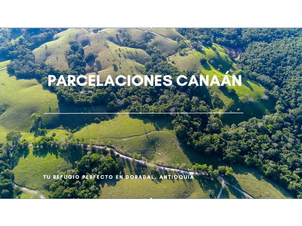 Lote en venta Antioquia Puerto Triunfo Puerto Triunfo 45838 m2 Habitaciones 0 Baños 0 Garajes 2 Precio $790000000