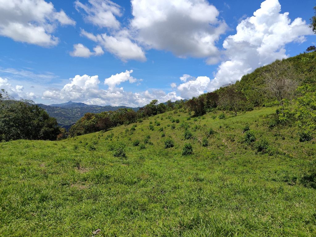 Finca en venta Cundinamarca Nocaima Nocaima 0 m2 Habitaciones 0 Baños 0 Garajes 10 Precio $460000000