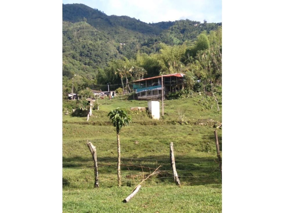 Finca en venta Tolima Ibagué Belen 30000 m2 Habitaciones 1 Baños 1 Garajes 0 Precio $5000000000