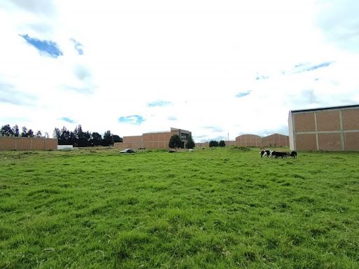 Local en venta Cundinamarca Madrid Conjunto Residencial Zaragoza 667 m2 Habitaciones 0 Baños 0 Garajes 0 Precio $850000000