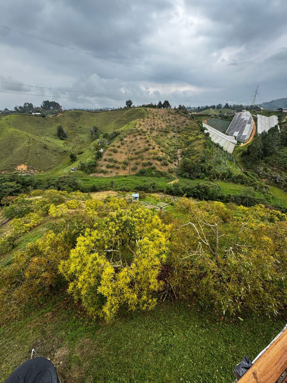 Finca en venta Antioquia Marinilla Belén 100 m2 Habitaciones 3 Baños 2 Garajes 1 Precio $2500000000