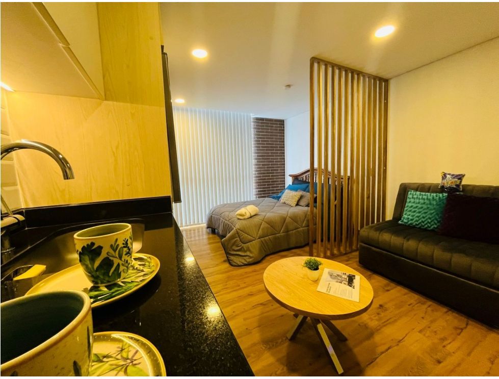 Apartaestudio en venta Cundinamarca Bogotá San Luis 21 m2 Habitaciones 1 Baños 1 Garajes 0 Precio $300000000