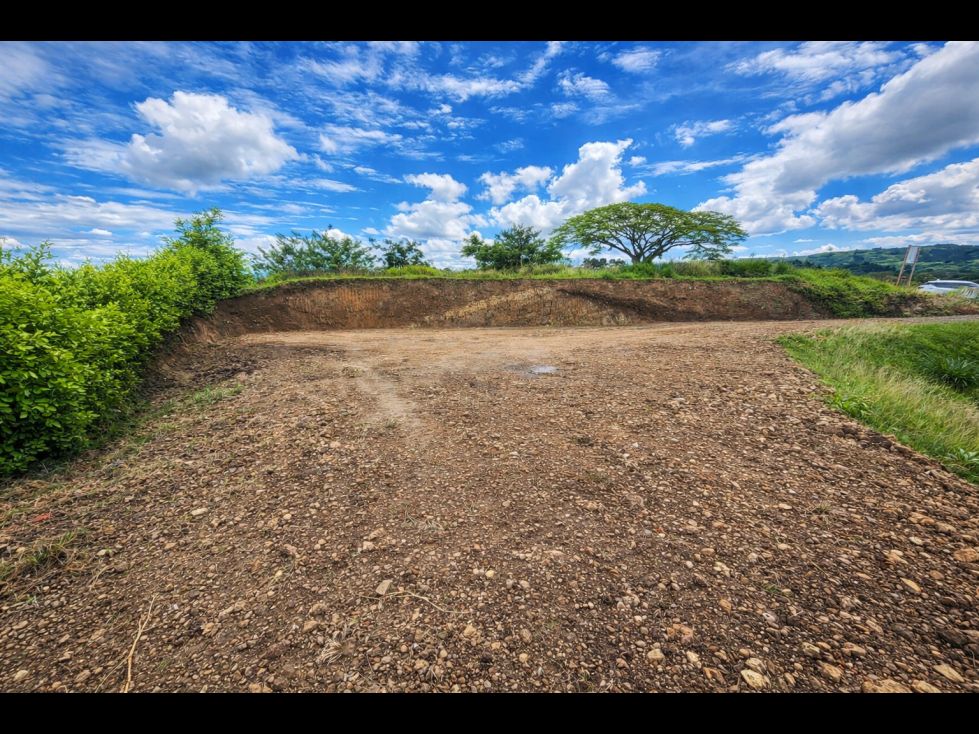 Lote en venta Valle Del Cauca Cartago Cartago 982 m2 Habitaciones 0 Baños 0 Garajes 0 Precio $235000000