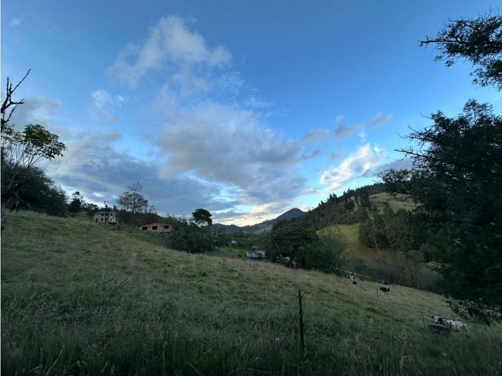 Lote en venta Cundinamarca La Calera San Lucas 11000 m2 Habitaciones 0 Baños 0 Garajes 0 Precio $500000000