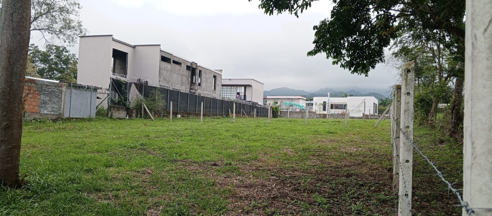Lote en venta Tolima Ibagué Vereda El Totumo 2079 m2 Habitaciones 0 Baños 0 Garajes 0 Precio $800000000