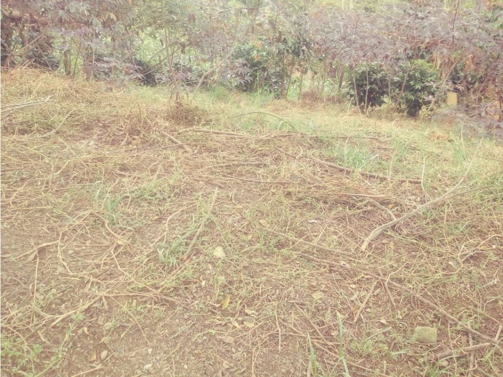 Lote en venta Antioquia Santa Bárbara Santa Bárbara 142 m2 Habitaciones 0 Baños 0 Garajes 0 Precio $60000000