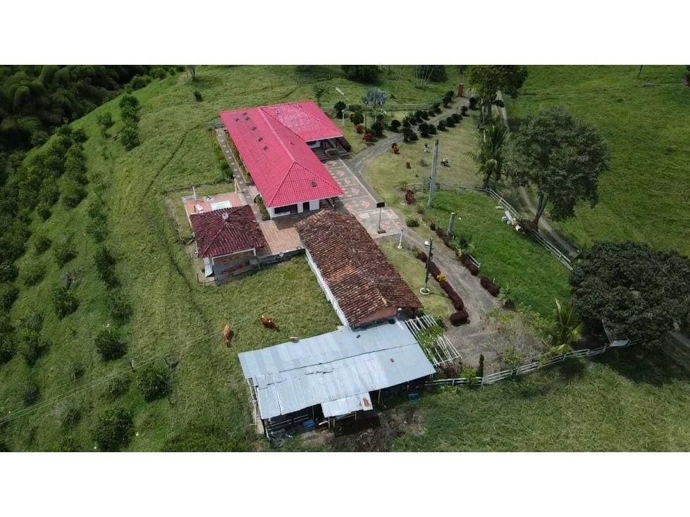 Finca en venta Quindío Quimbaya Quimbaya 583 m2 Habitaciones 7 Baños 6 Garajes 2 Precio $1550000000