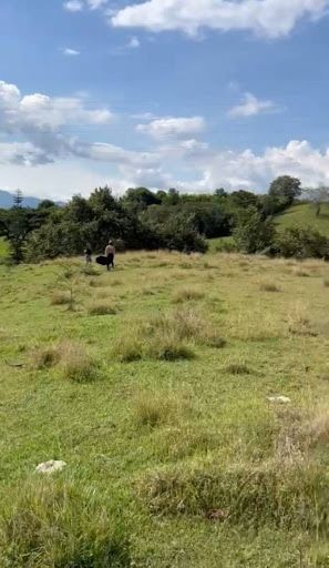 Lote en venta Valle Del Cauca Tuluá Tuluá 10800 m2 Habitaciones 0 Baños 0 Garajes 0 Precio $380000000
