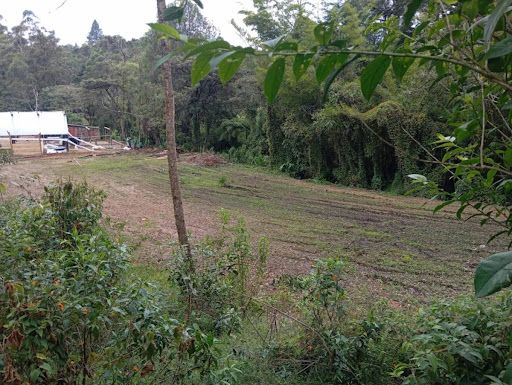Lote en arriendo Antioquia Rionegro El Porvenir 2200 m2 Habitaciones 0 Baños 0 Garajes 0 Precio $7900000