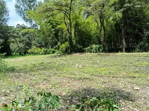 Lote en arriendo Antioquia Rionegro El Porvenir 5000 m2 Habitaciones 0 Baños 0 Garajes 0 Precio $3500000