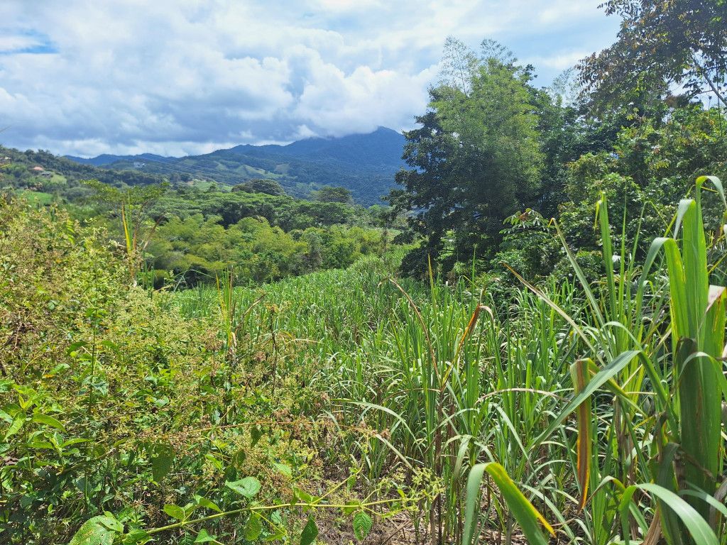 Lote en venta Cundinamarca Nocaima Nocaima 0 m2 Habitaciones 0 Baños 0 Garajes 0 Precio $990000000