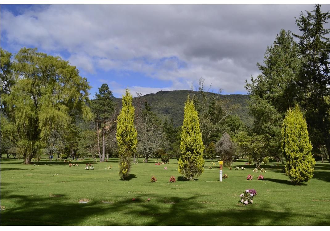 Lote en venta Cundinamarca Bogotá Casa Blanca 40 m2 Habitaciones 0 Baños 0 Garajes 0 Precio $30000000
