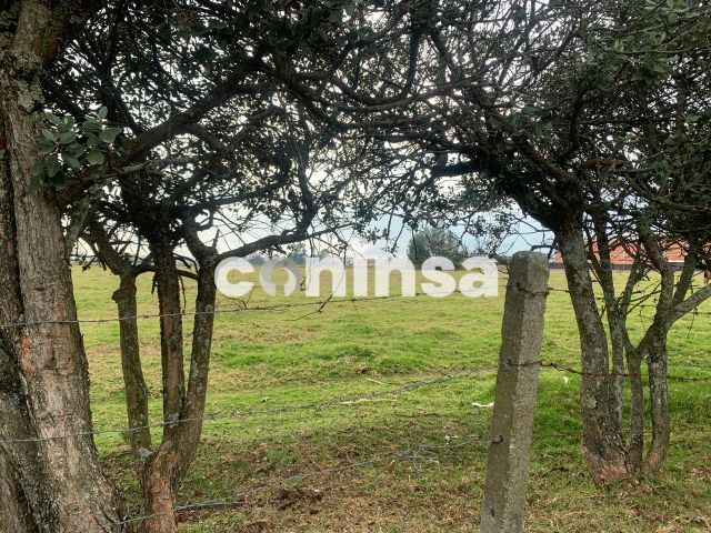 Lote en venta Cundinamarca Cota Cota 27293 m2 Habitaciones 0 Baños 0 Garajes 0 Precio $11437950000