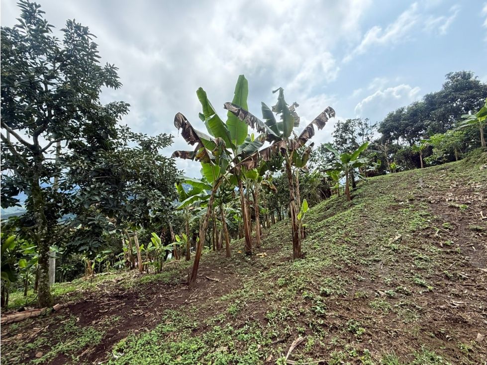 Lote en venta Cundinamarca Sasaima Sasaima 2500 m2 Habitaciones 0 Baños 0 Garajes 0 Precio $260000000