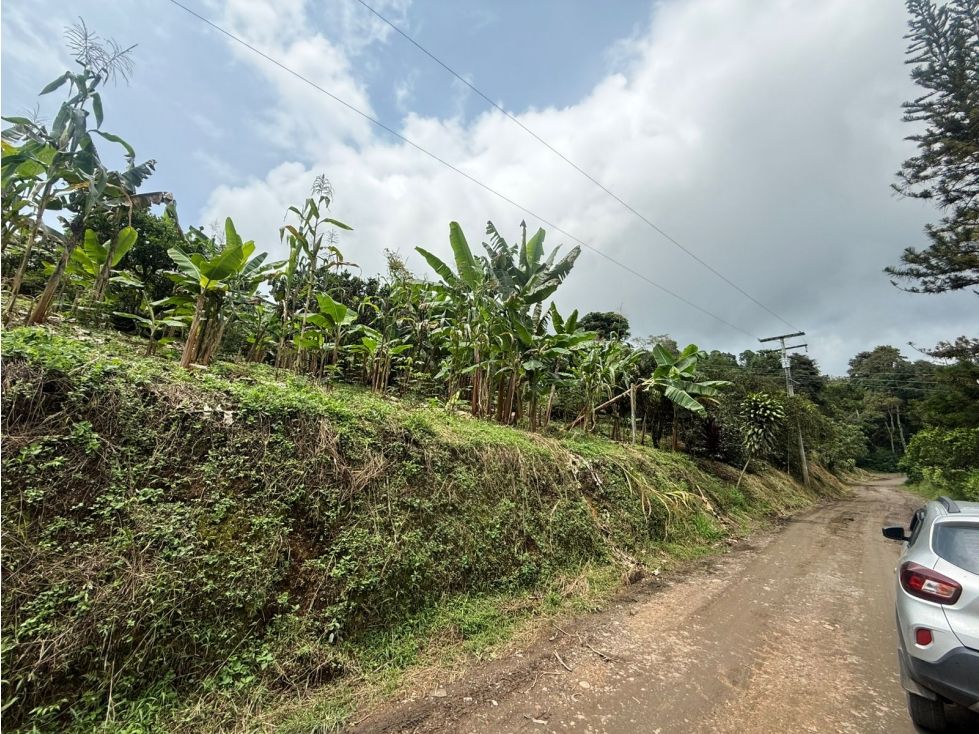 Lote en venta Cundinamarca Sasaima Sasaima 2500 m2 Habitaciones 0 Baños 0 Garajes 0 Precio $280000000