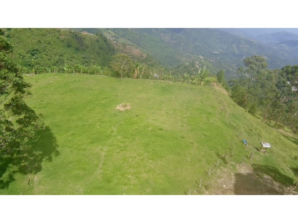 Lote en venta Antioquia Fredonia Fredonia 348559 m2 Habitaciones 0 Baños 5 Garajes 6 Precio $4000000000