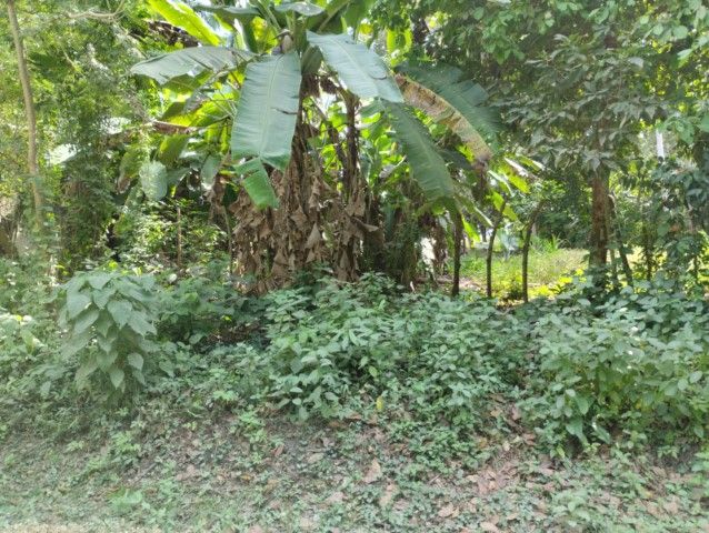 Lote en venta Bolívar Turbaco El Centro 0 m2 Habitaciones 0 Baños 0 Garajes 0 Precio $750000000