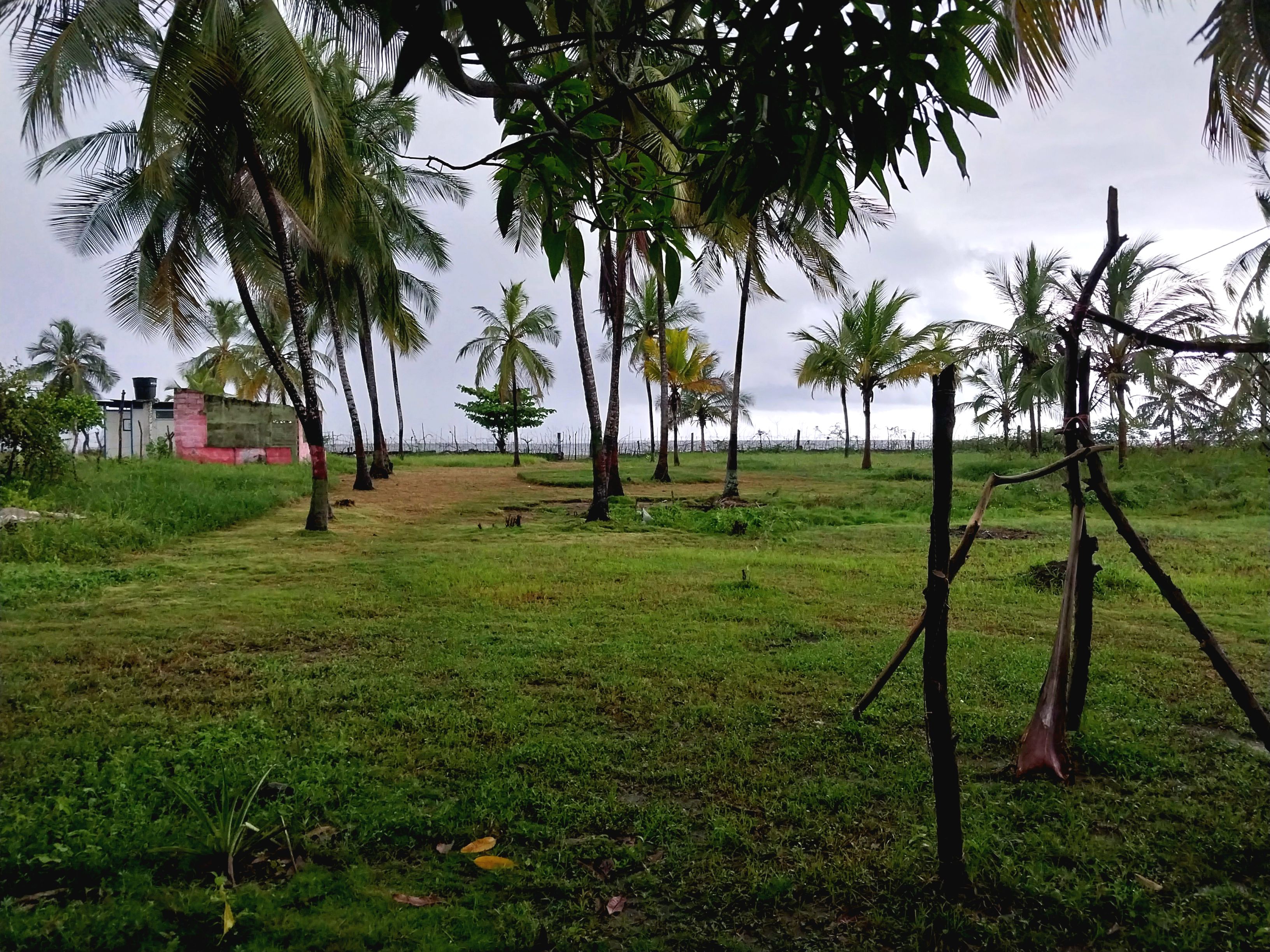 Lote en venta Magdalena Ciénaga Floresta 5806 m2 Habitaciones 0 Baños 0 Garajes 0 Precio $2200000000