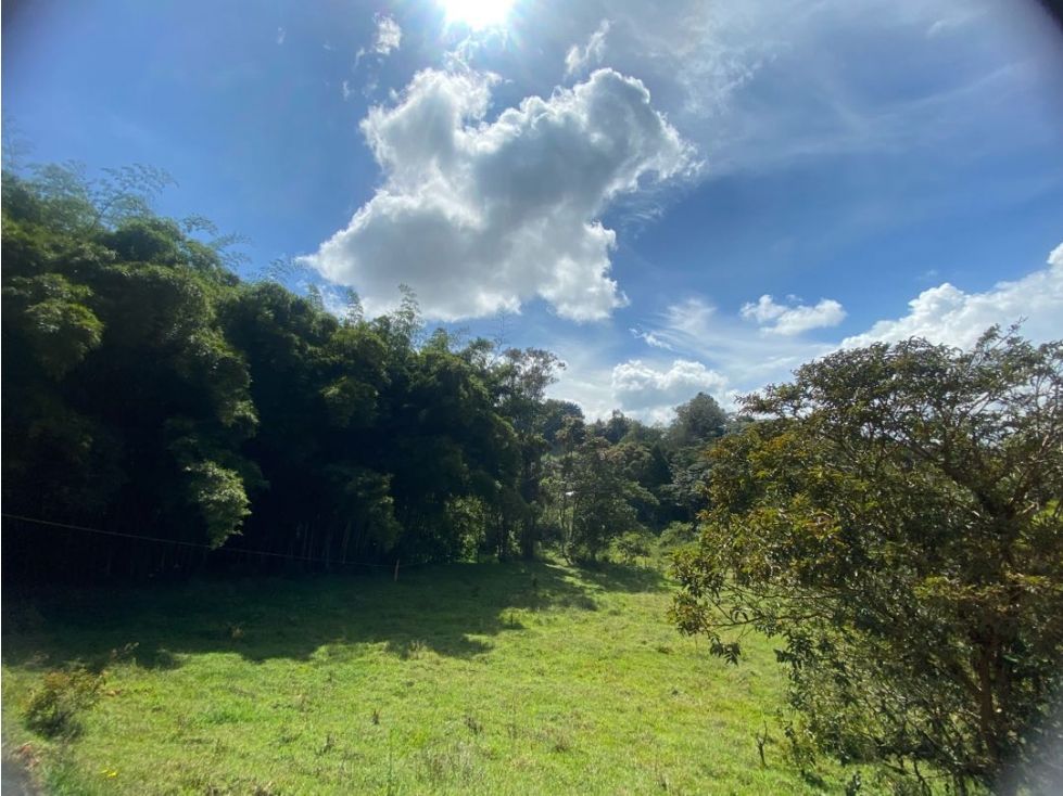Lote en venta Antioquia El Santuario El Santuario 3956 m2 Habitaciones 0 Baños 0 Garajes 0 Precio $712100000