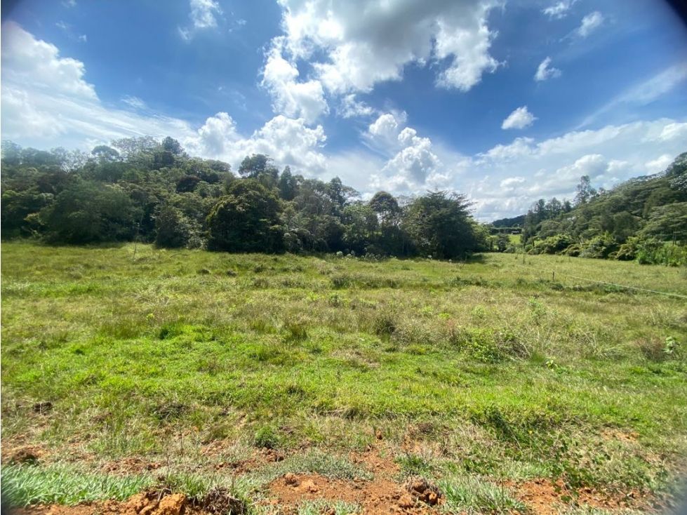 Lote en venta Antioquia El Santuario El Santuario 4665 m2 Habitaciones 0 Baños 0 Garajes 0 Precio $839700000