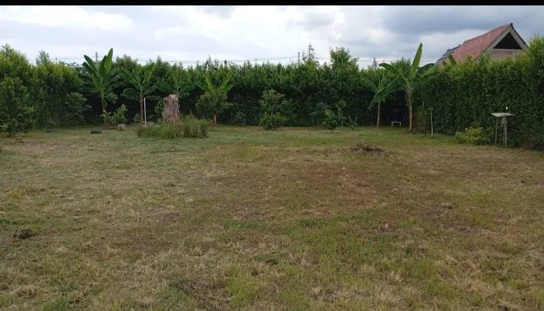 Lote en venta Valle Del Cauca El Cerrito El Cerrito 1000 m2 Habitaciones 0 Baños 0 Garajes 0 Precio $220000000