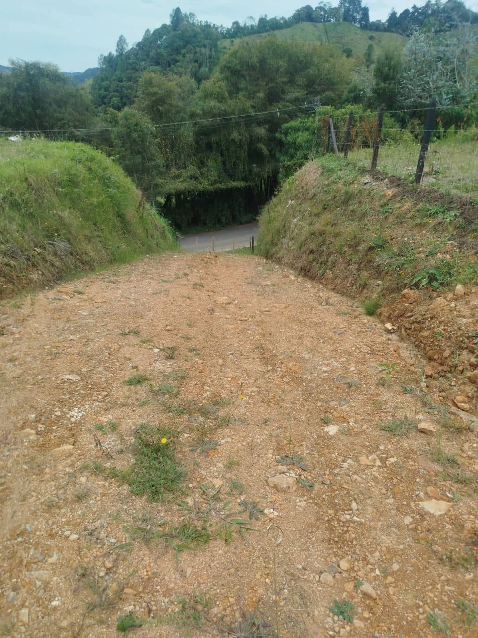 Lote en venta Antioquia La Ceja Centro 0 m2 Habitaciones 0 Baños 0 Garajes 0 Precio $470000000