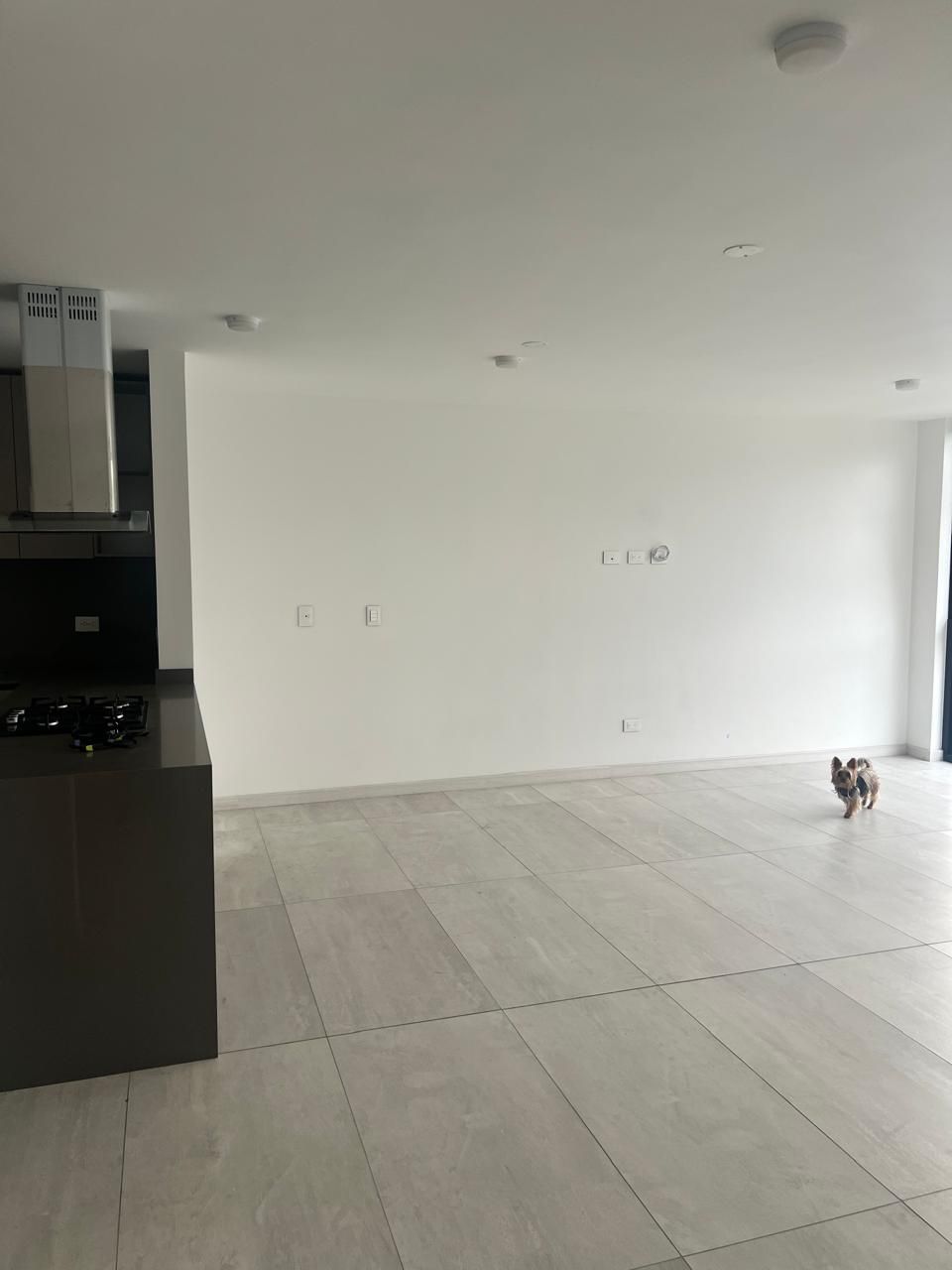 Apartaestudio en arriendo Risaralda Pereira Jardin De Velez Y Velez 127 m2 Habitaciones 3 Baños 3 Garajes 1 Precio $5200000