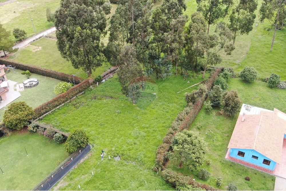 Lote en venta Cundinamarca Chía Cr Naranjo Ii 20 m2 Habitaciones 0 Baños 0 Garajes 0 Precio $550000000