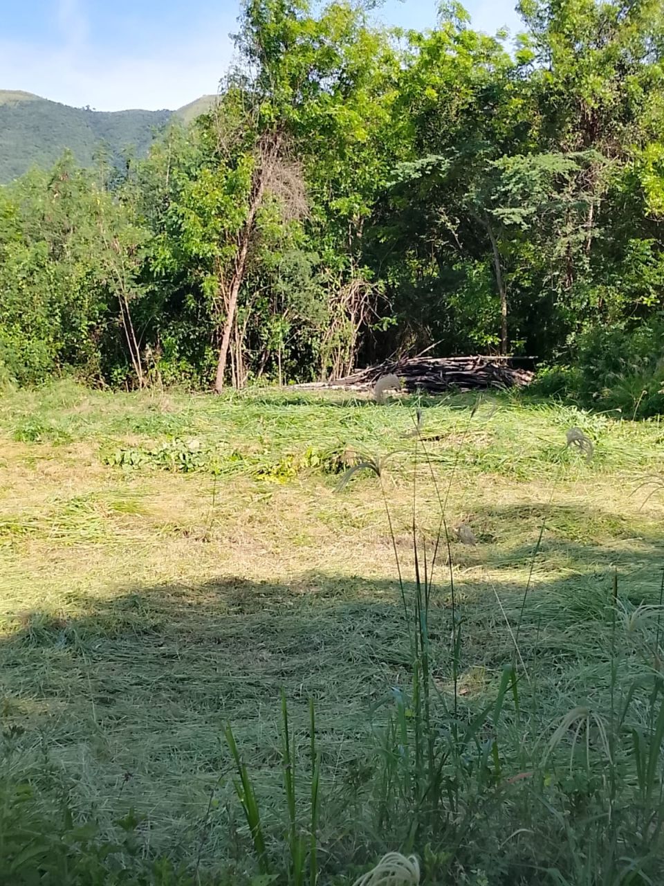 Lote en venta Cundinamarca Nariño Nariño 200 m2 Habitaciones 0 Baños 0 Garajes 0 Precio $48000000