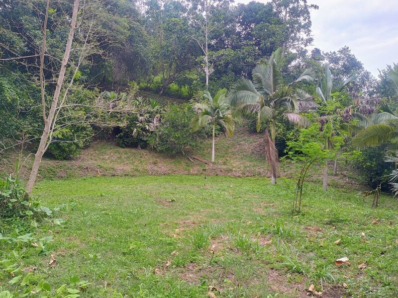 Lote en venta Cundinamarca Villeta Alfonso López 0 m2 Habitaciones 0 Baños 0 Garajes 0 Precio $360000000