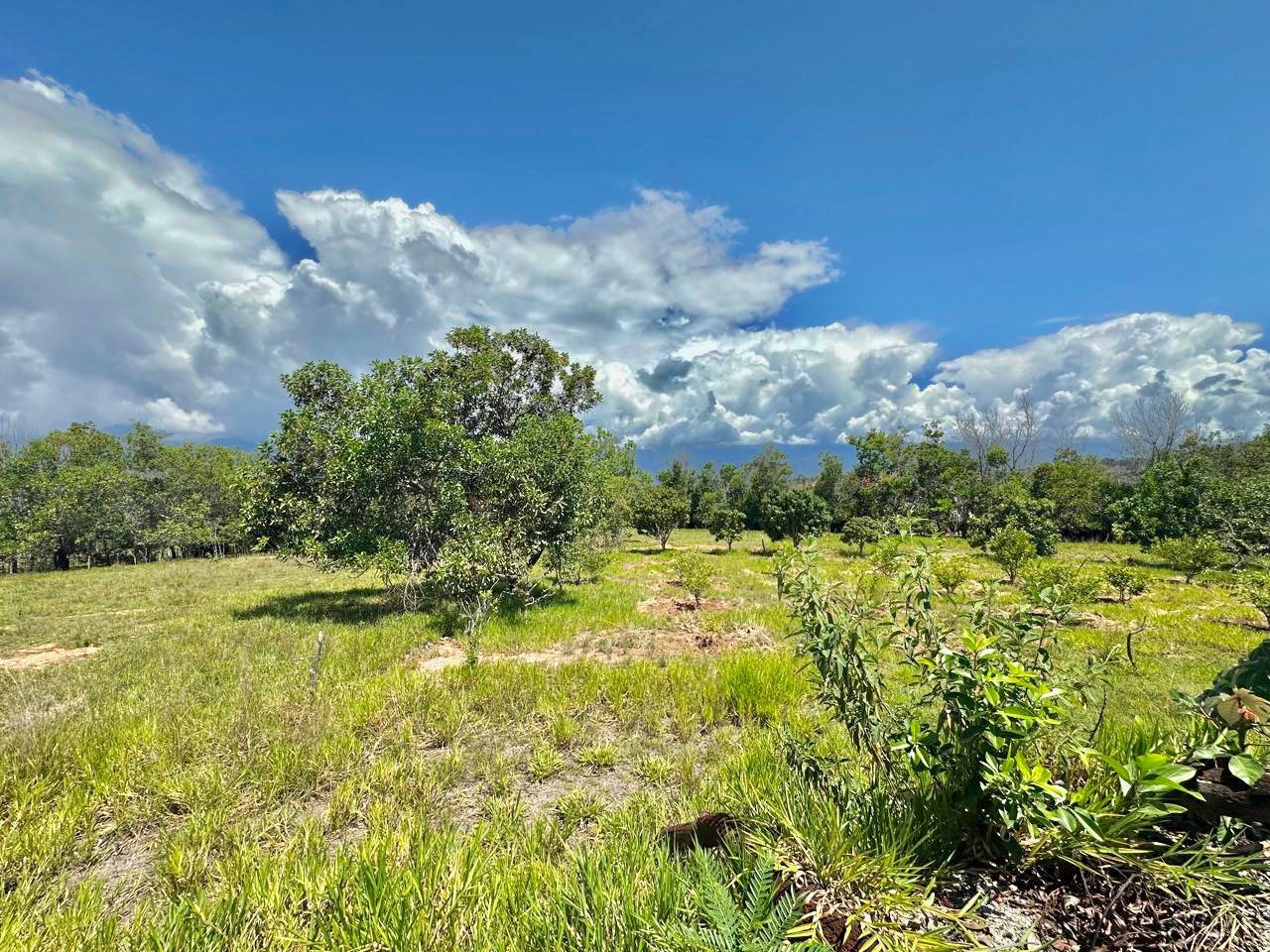 Lote en venta Santander Barichara San Antonio 0 m2 Habitaciones 0 Baños 0 Garajes 0 Precio $650000000