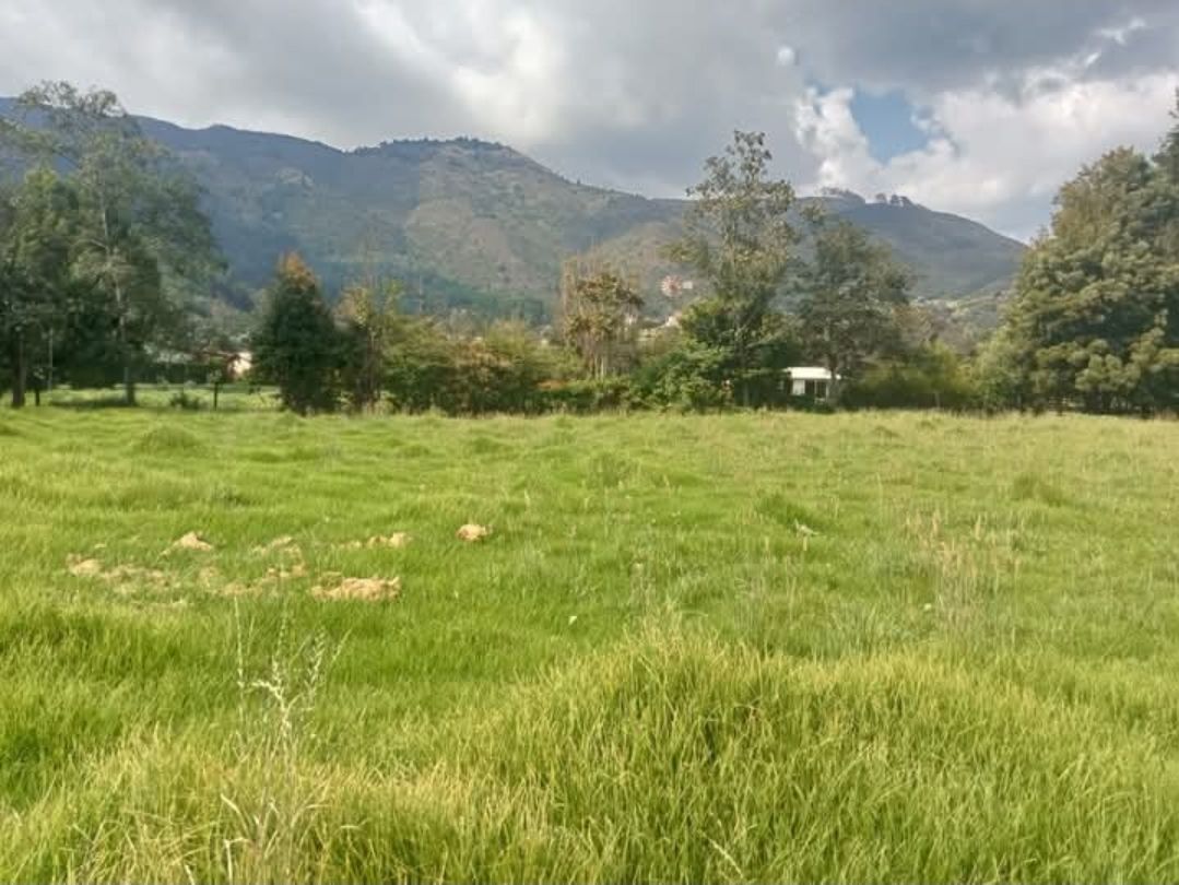 Lote en venta Cundinamarca Tenjo Tenjo 0 m2 Habitaciones 0 Baños 0 Garajes 0 Precio $1200000000