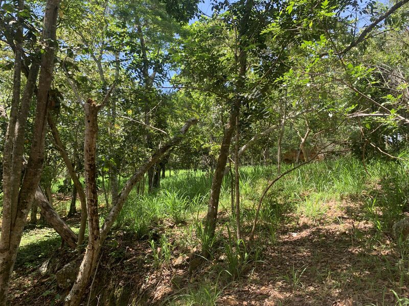 Lote en venta Santander Barichara Barichara 0 m2 Habitaciones 0 Baños 0 Garajes 0 Precio $900000000