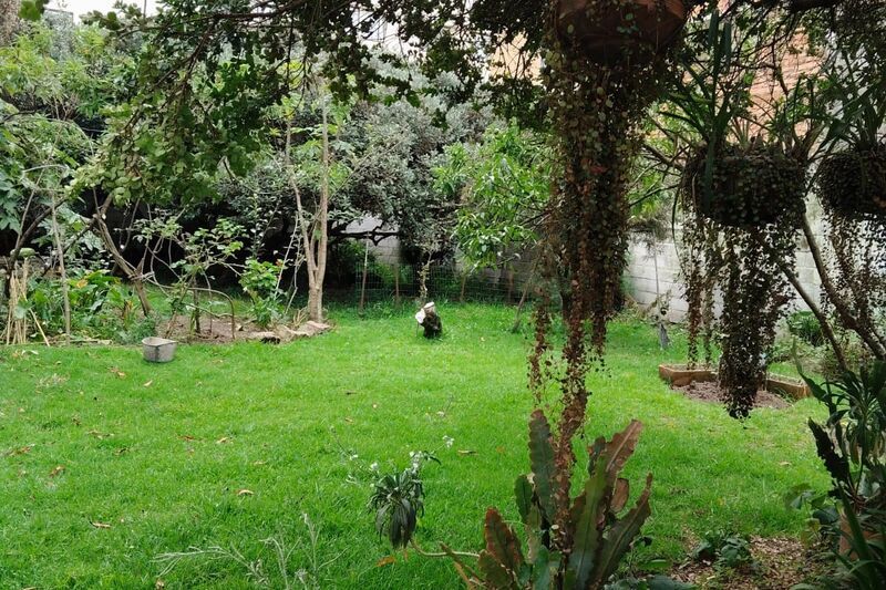 Casa en venta Cundinamarca Bogotá Acacias Usaquen 280 m2 Habitaciones 4 Baños 3 Garajes 0 Precio $3800000000