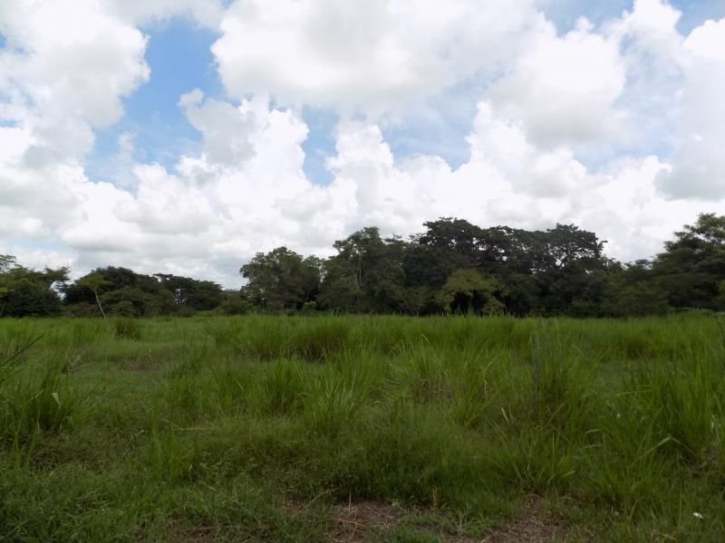 Lote en venta Atlántico Sabanalarga Centro 50000 m2 Habitaciones 0 Baños 0 Garajes 0 Precio $5000000000