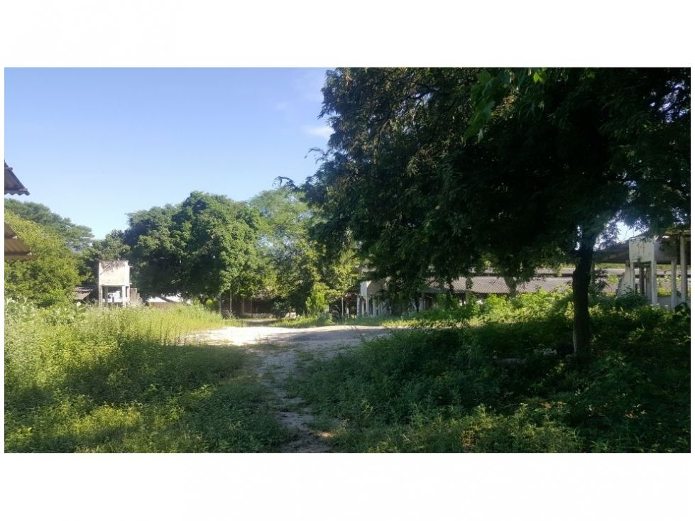 Lote en venta Magdalena Santa Marta 20 De Octubre 26000 m2 Habitaciones 0 Baños 0 Garajes 0 Precio $4000000000
