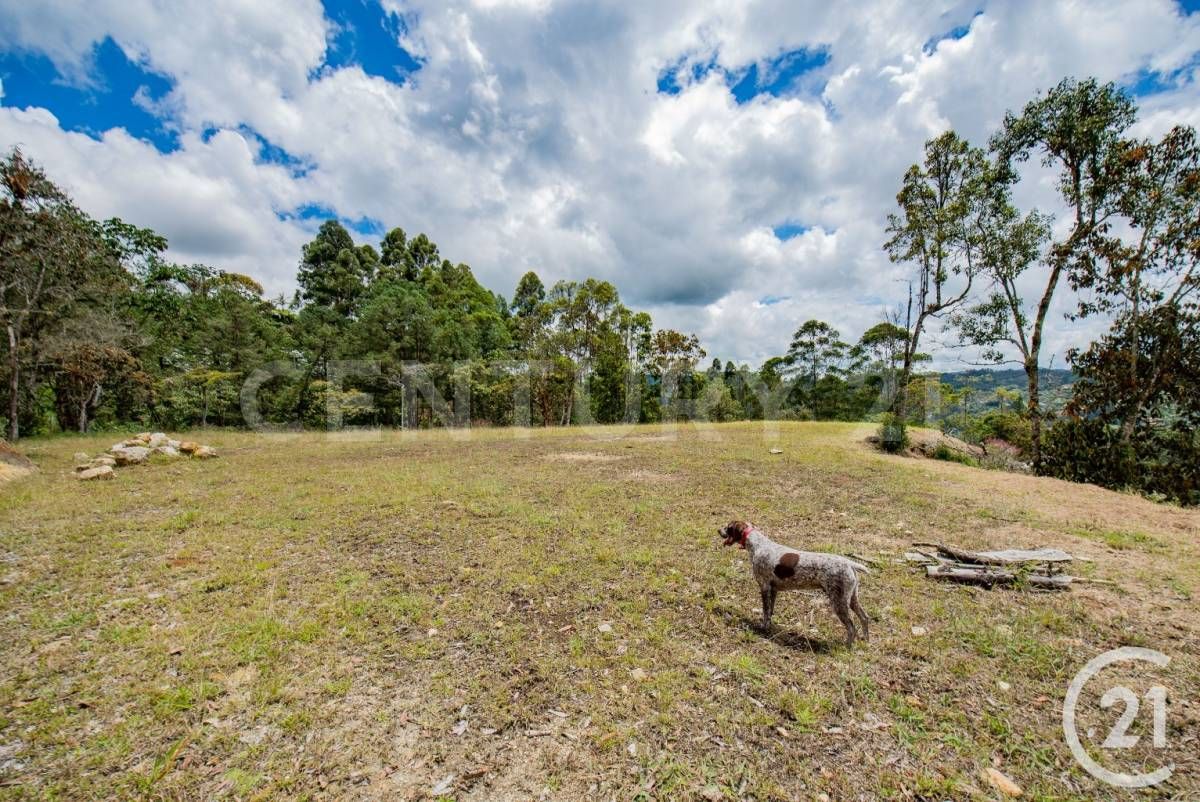 Lote en venta Antioquia El Retiro El Retiro 5000 m2 Habitaciones 0 Baños 1 Garajes 7 Precio $1250000000
