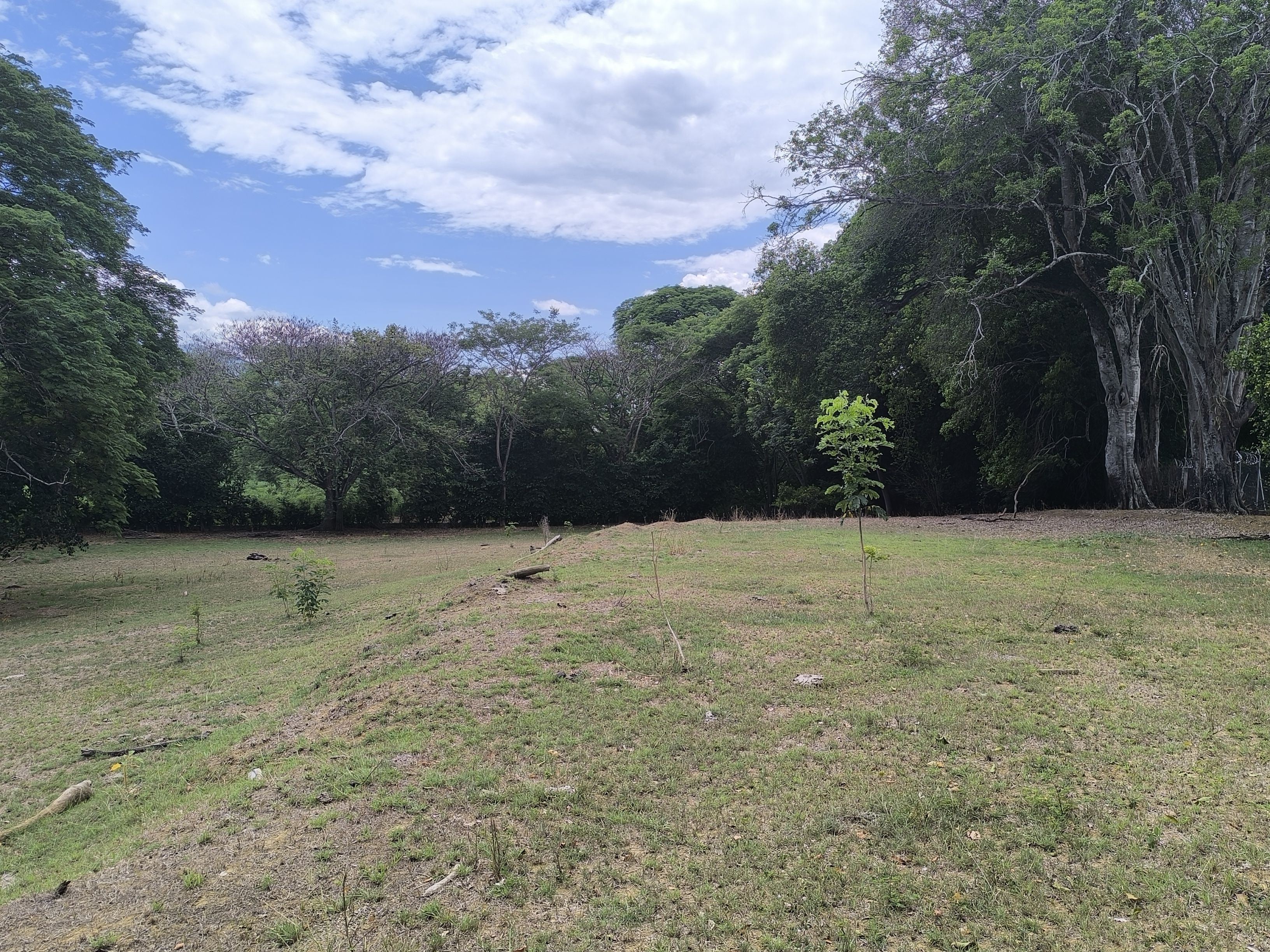 Lote Rural en venta Antioquia Santafé De Antioquia Corregimiento Tonusco 60 m2 Habitaciones 0 Baños 0 Garajes 0 Precio $1800000000