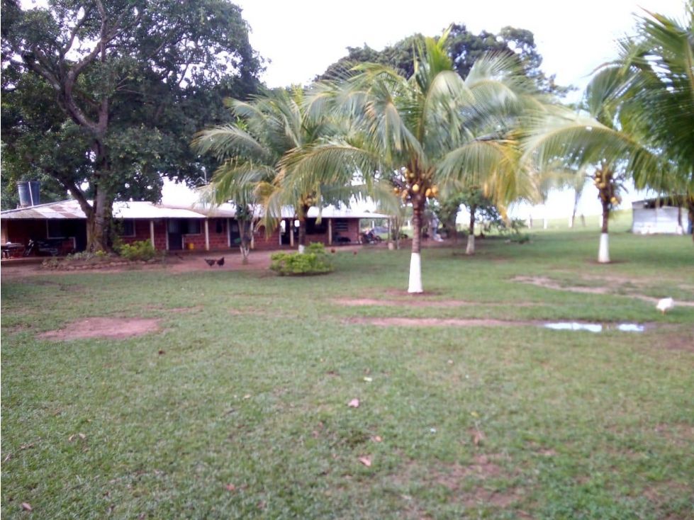 Finca en venta Meta Puerto López Nueve De Abril 48000 m2 Habitaciones 0 Baños 0 Garajes 0 Precio $216000000000