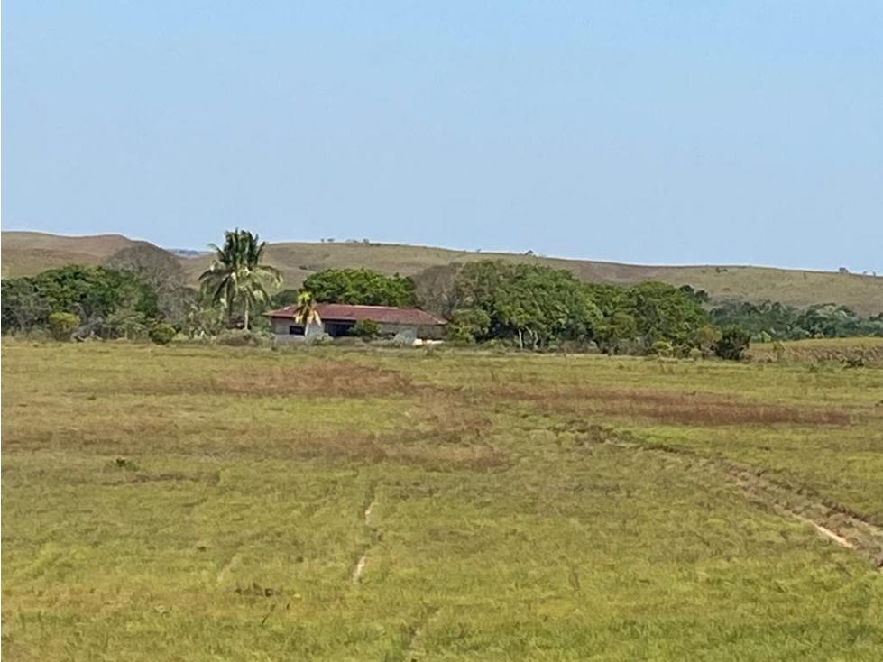 Finca en venta Meta Puerto López Nueve De Abril 9940000 m2 Habitaciones 0 Baños 0 Garajes 0 Precio $4970000000