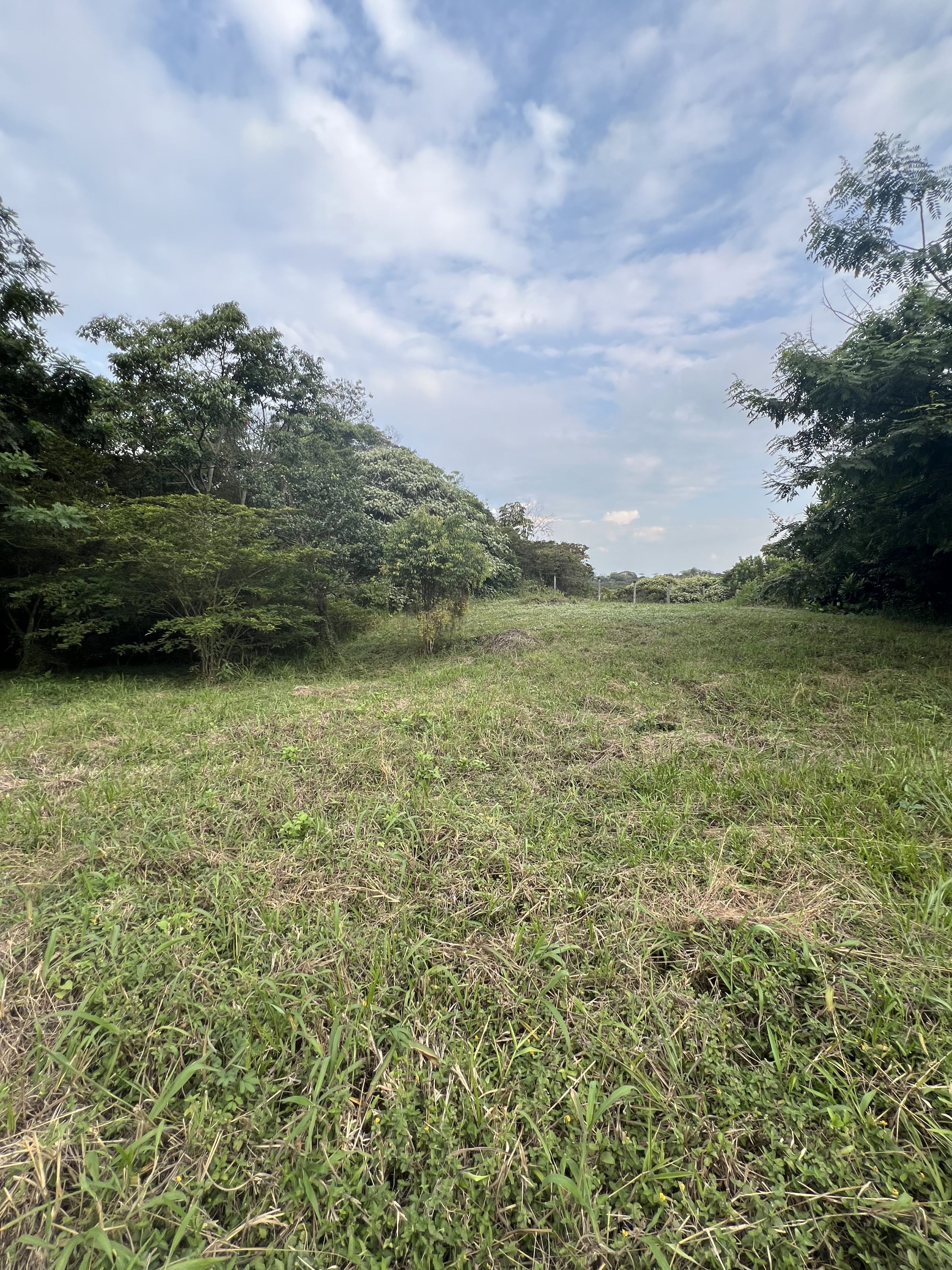 Lote en venta Valle Del Cauca Cali Colseguros Andes 9097 m2 Habitaciones 0 Baños 0 Garajes 0 Precio $850000000
