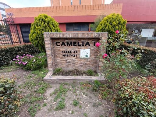 Apartamento en arriendo Cundinamarca Soacha Cr Camelia Et I 40 m2 Habitaciones 3 Baños 1 Garajes 0 Precio $750000