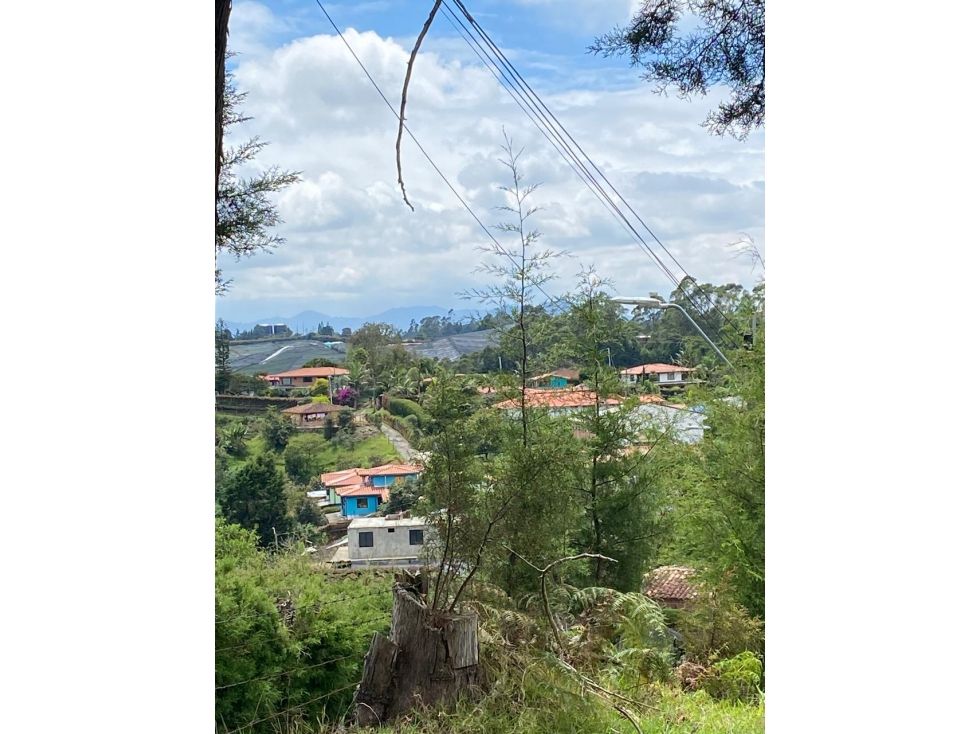 Lote en venta Antioquia Rionegro Rionegro 8000 m2 Habitaciones 0 Baños 0 Garajes 0 Precio $1200000000