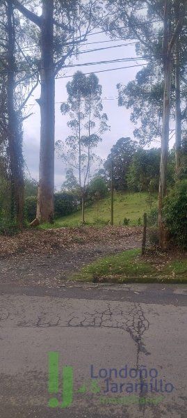 Lote en venta Antioquia Rionegro Centro 4083 m2 Habitaciones 0 Baños 0 Garajes 0 Precio $1595000000