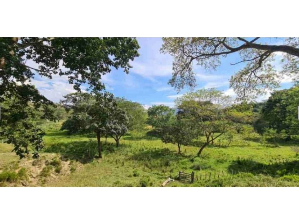 Lote en venta Antioquia Sopetrán Sopetran 2704 m2 Habitaciones 0 Baños 0 Garajes 0 Precio $280000000