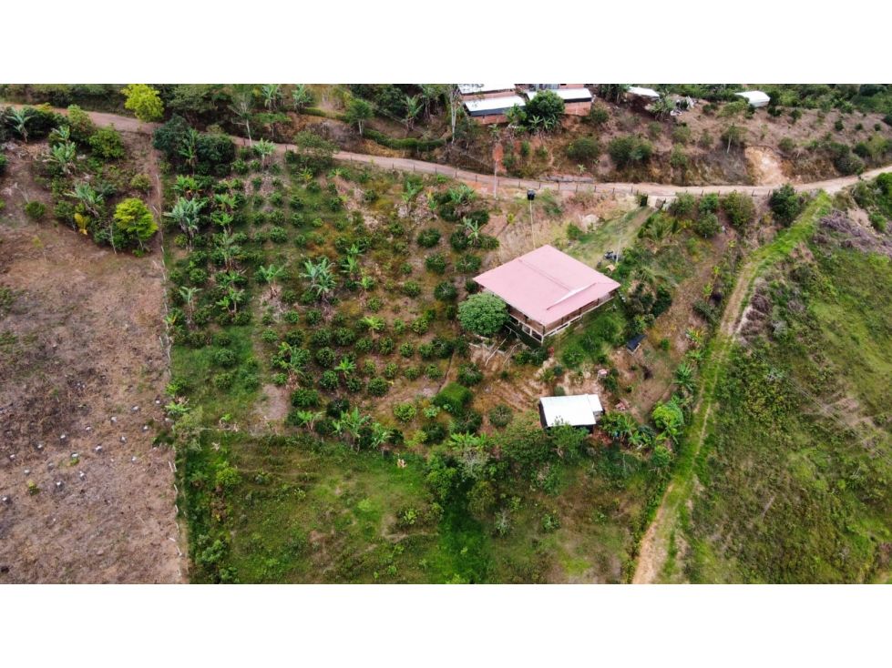 Casa Campestre en venta Santander Lebríja Lebríja 300 m2 Habitaciones 3 Baños 3 Garajes 2 Precio $450000000