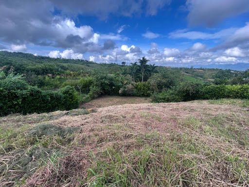 Lote en venta Risaralda Pereira Pereira 1900 m2 Habitaciones 0 Baños 1 Garajes 1 Precio $410000000
